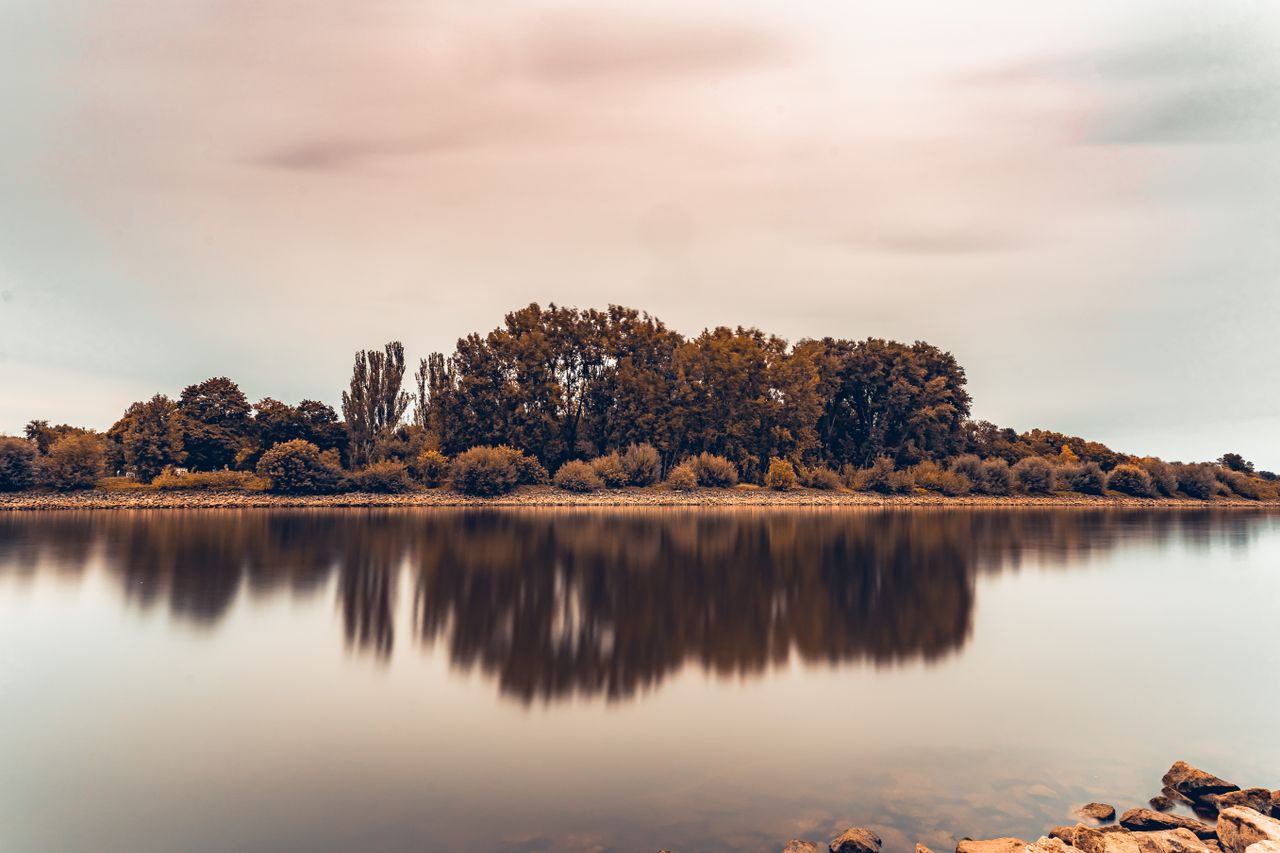 Peaceful lake scene with tree reflections under a cloudy sky, capturing nature's serenity.